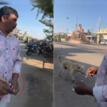 Video Sparks Outrage After Stray Dog Given Lethal Injection in Telangana; Over 500 Deaths Alleged